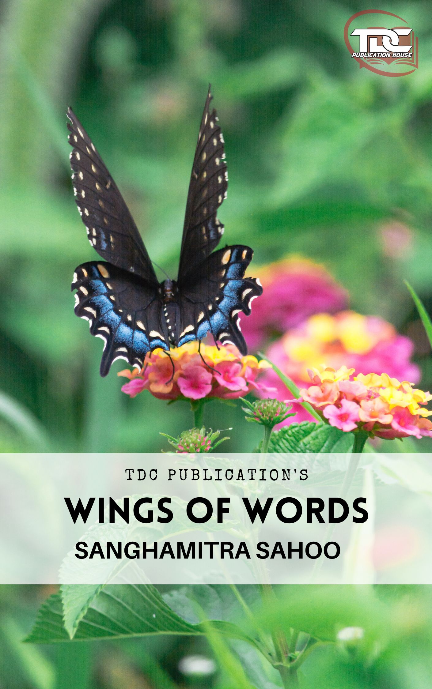 Wings of words